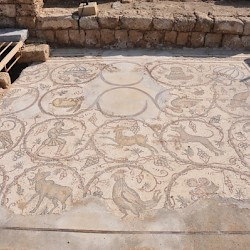 Caesarea, Byzantine Government Building, Mosaic