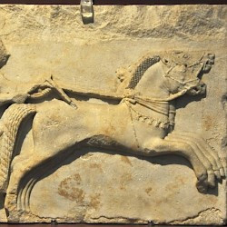 Cyzicus, Charioteer