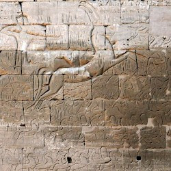 Medinet Habu, Temple of Ramesses III, Ramesses fighting against the Sea People