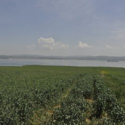 Aigospotamoi, seen from the European side; Lampsacus across the Hellespont