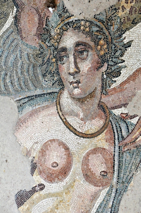 Piazza Armerina, Triclinium, Amazon