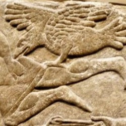 Nimrud, Northwest Palace of Aššurnasirpal II, Vulture