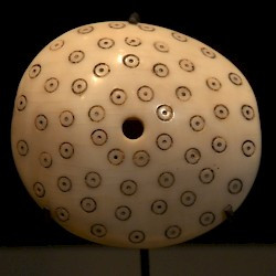 Nimrud, Decoration of a chariot, made of shell
