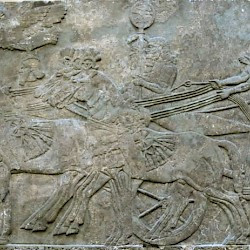 Nimrud, Relief of a Mesopotamian chariot