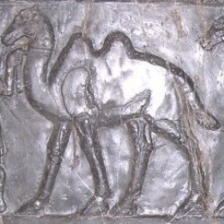 Nimrud, Black obelisk of Šalmaneser III: camels