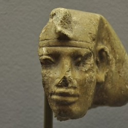 Amunemhet V
