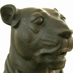 Persepolis, Apadana, Dog's head