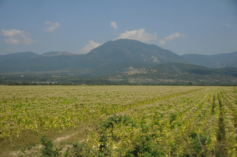 Balkan Mountains from Kazanlak