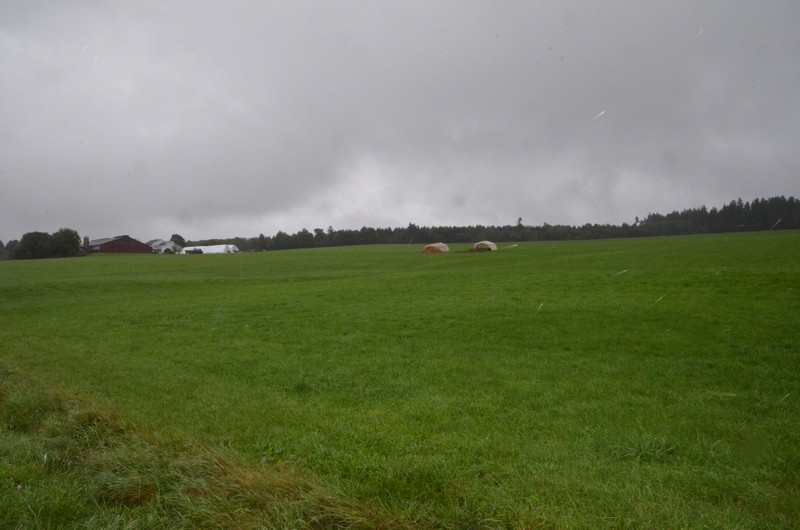 Hermeskeil, Site of a Roman camp