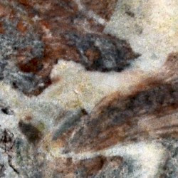 Sarrancolin Marble from the Pyrenees (Grand)