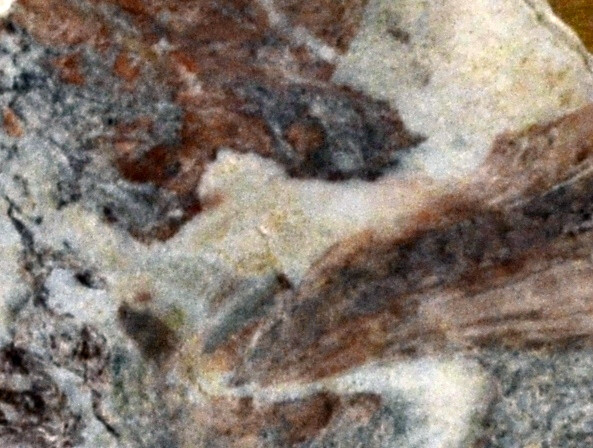 Sarrancolin Marble from the Pyrenees (Grand)