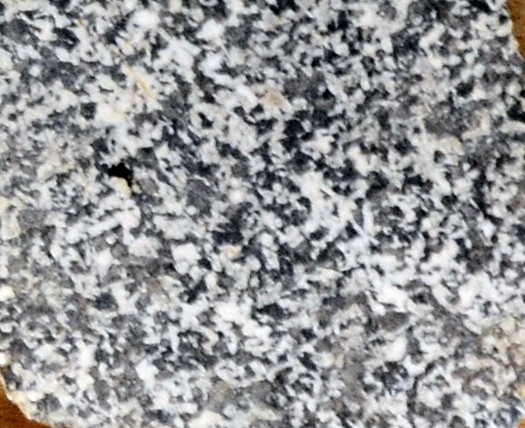 Gabbro from the Alps (Grand)