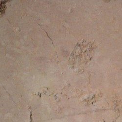 Burgundian Rock (Grand)