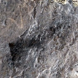 Schist of the Vosges (Grand)