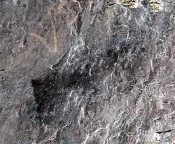 Schist of the Vosges (Grand)
