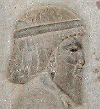 Bactrian