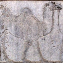 Persepolis, Apadana, East Stairs, Bactrian camel