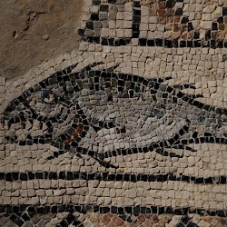 Poreč, First Basilica, Mosaic