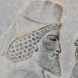 Persepolis, Apadana, East Stairs, Armenian