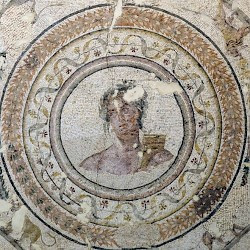 Salona, Governor's Palace, Mosaic of Apollo