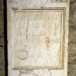 Tilurium, Tombstone of Vibius of VII Claudia