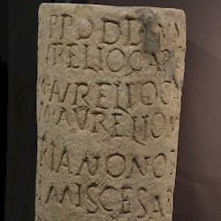 Nedinum, Milestone of Carus and sons