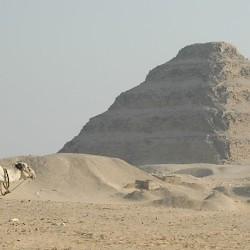 Saqqara, Pyramid of Djoser with dromedary