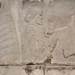 Persepolis, Apadana, East Stairs, Southern part, Elamites