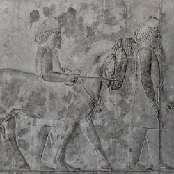 Persepolis, Apadana, East Stairs, Southern part, Armenians