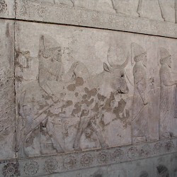 Persepolis, Apadana, East Stairs, Southern part, Babylonians