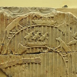 Relief of cats chasing birds
