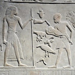 Saqqara, Relief of Merymery