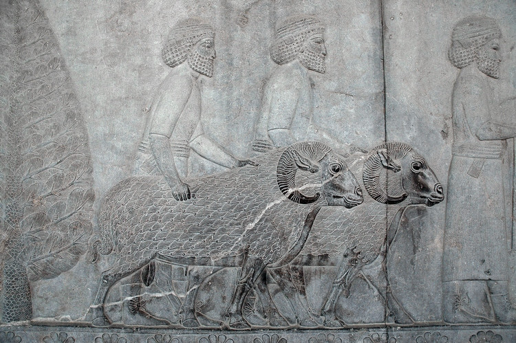 Persepolis, Apadana, East Stairs, Southern part, Syrians