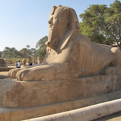 Memphis, Sphinx