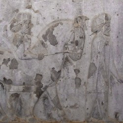 Persepolis, Apadana, East Stairs, Southern part, Cappadocia