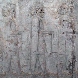 Persepolis, Apadana, East Stairs, Southern part, Cappadocia
