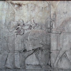 Persepolis, Apadana, East Stairs, Southern part, Sacae
