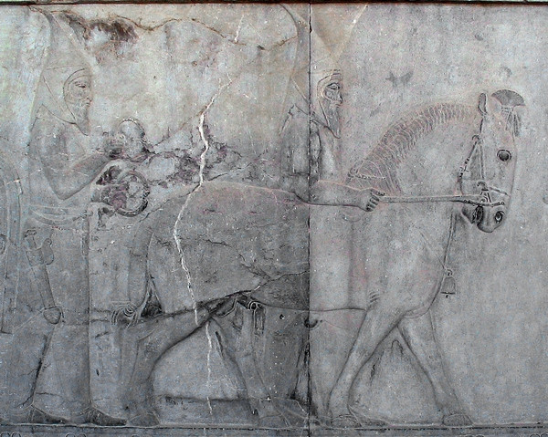 Persepolis, Apadana, East Stairs, Southern part, Sacae