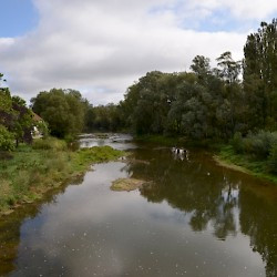 The Meuse near Domrémy-la-Pucelle