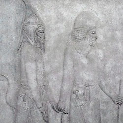 Persepolis, Apadana, East Stairs, Southern part, Sacae