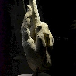 Andesina, Jardin Huguet, Hand