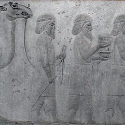 Persepolis, Apadana, East Stairs, Southern part, Bactrians