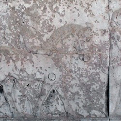 Persepolis, Apadana, East Stairs, Southern part, Sogdians