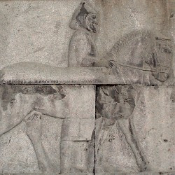 Persepolis, Apadana, East Stairs, Southern part, Thracians