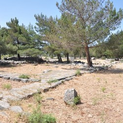 Priene, Agora