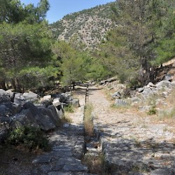 Priene, Agora road