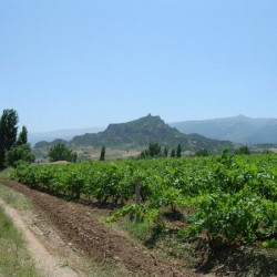 The citadel of Sardes, seen from the west