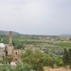 Ephesus, Port