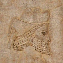Persepolis, Apadana, East Stairs, Cappadocian