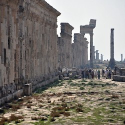 Apamea, Colonnaded Street